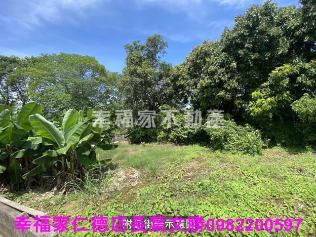 台南歸仁農地-5