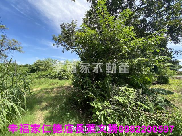 台南歸仁農地-9