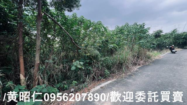 台南歸仁農地-9