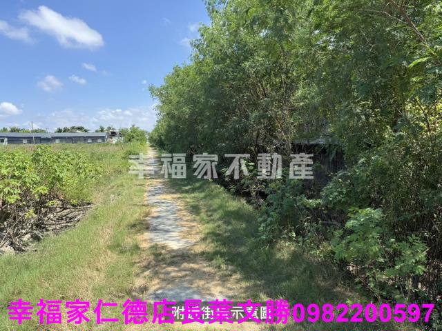 鹽水農地-15