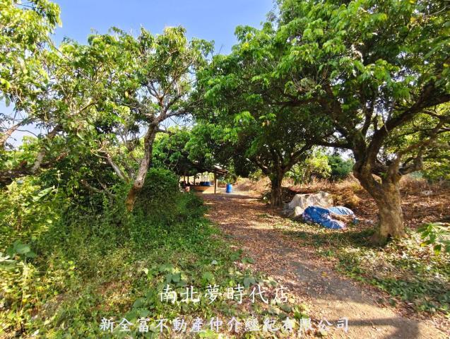 台南農地-14