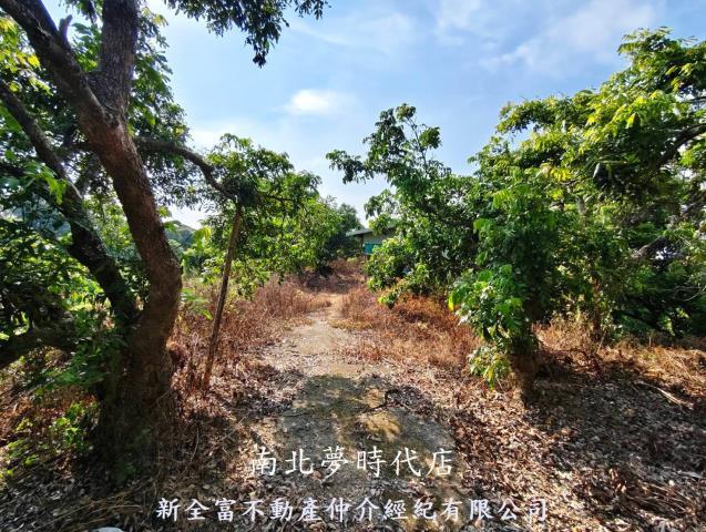 台南農地-9