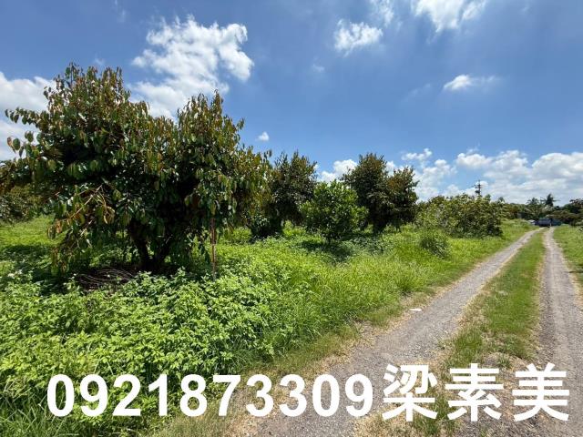 台南農地-1