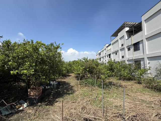 屏東九如建地-1