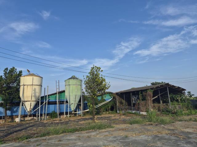 台南善化農地-9