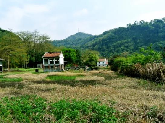 南投鹿谷農地-7