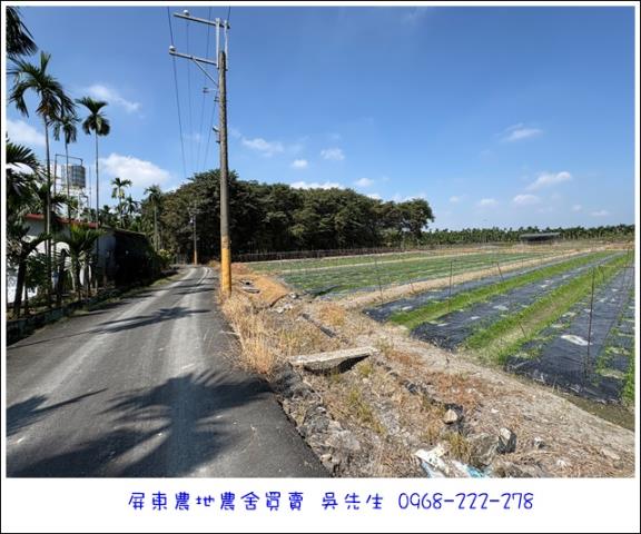高樹農地-1