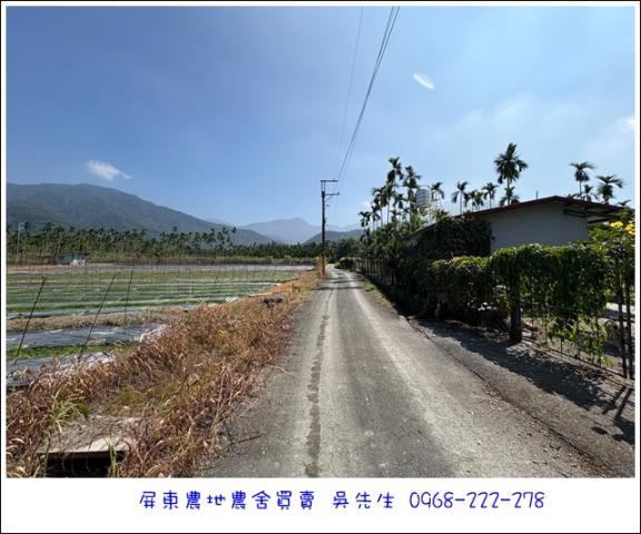 高樹農地-5