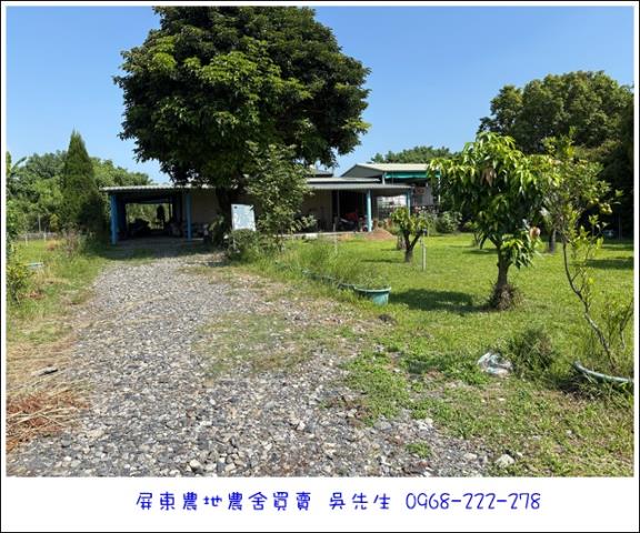 高樹農地-2