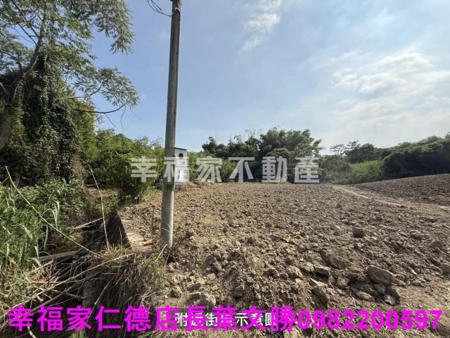關廟農地-13