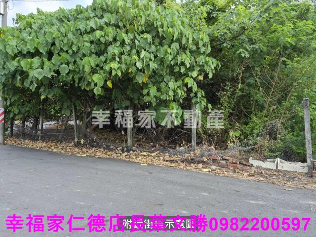 新營建地-6