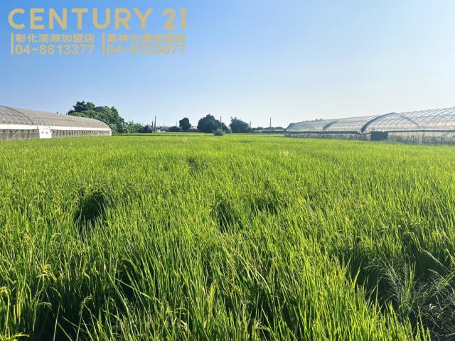 溪湖農地-4