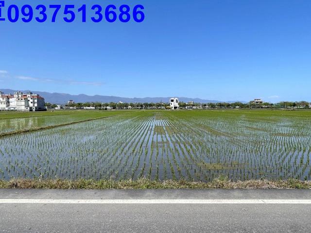 壯圍農地-1
