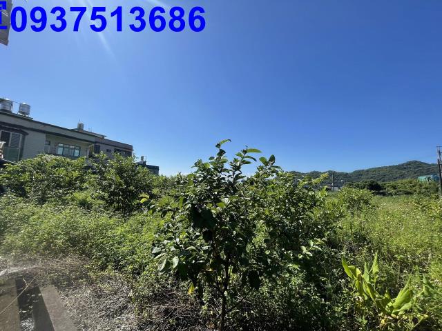 宜蘭農地-4