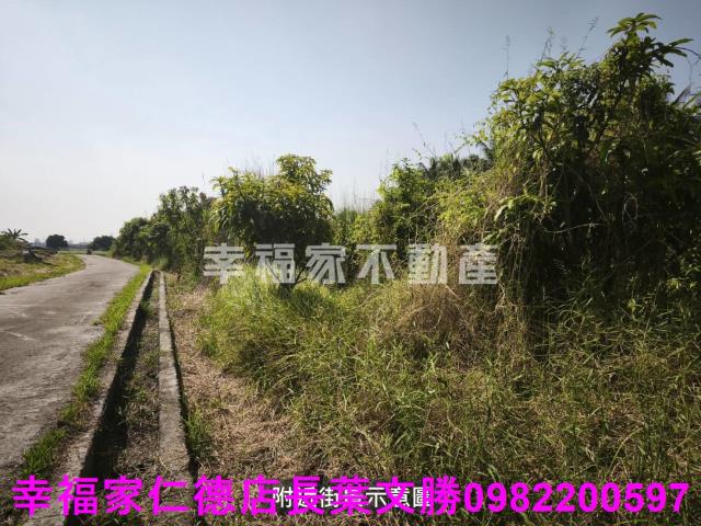 台南農地-10