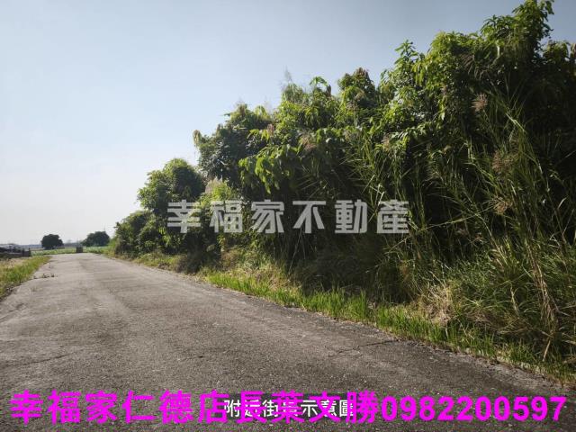 台南農地-3