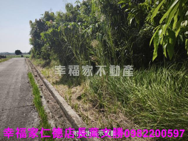 台南農地-7