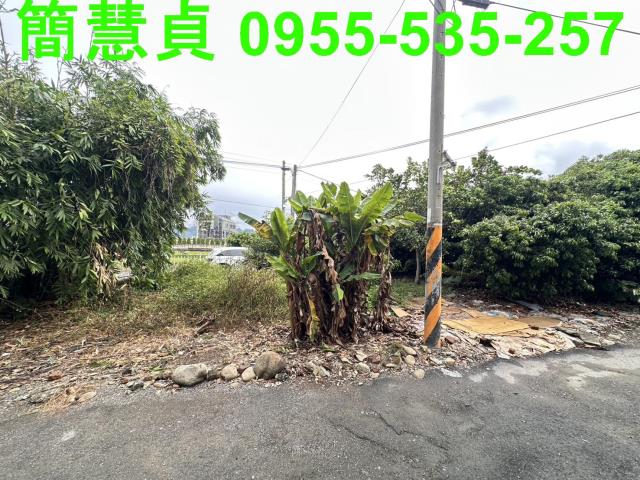 南投建地-5